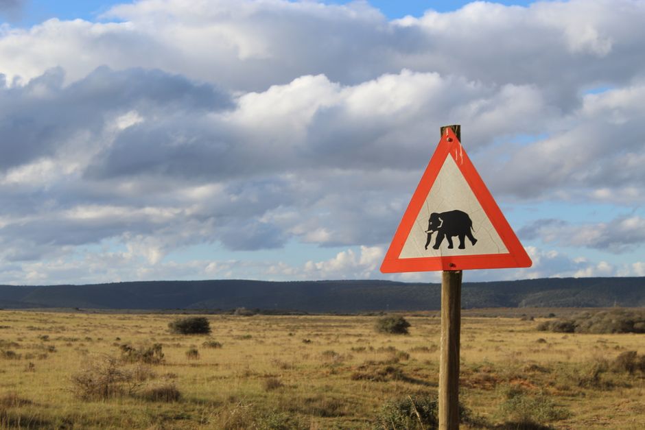 Road sign africa - Cross border car hire permits from South Africa