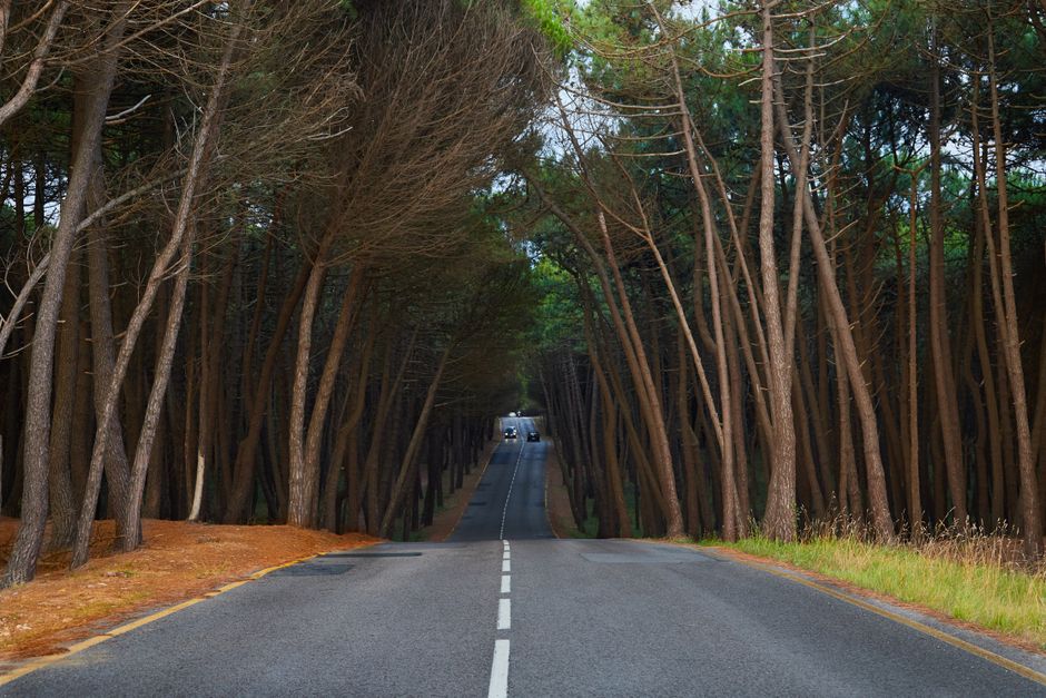 Garden route drive - Renting a car to drive for Uber or Bolt in South Africa